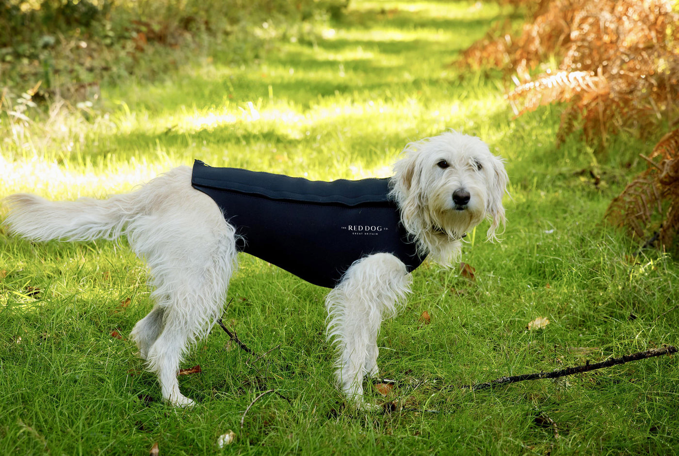 Active Dog Coat Black