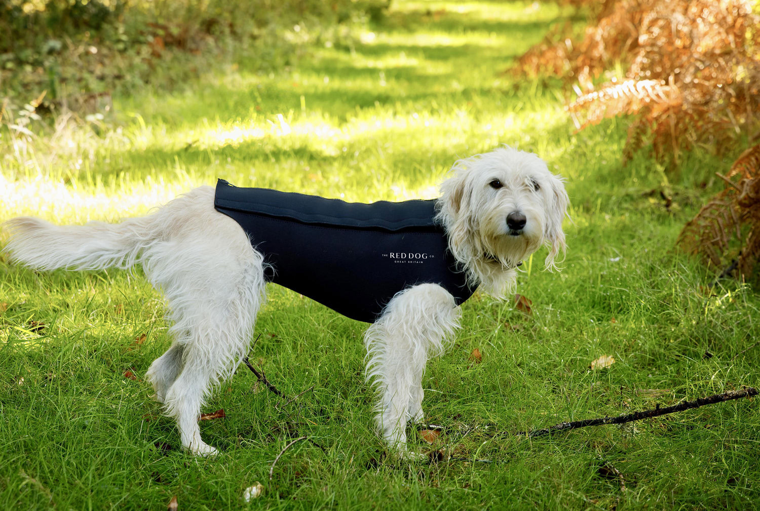 Active Dog Coat Black