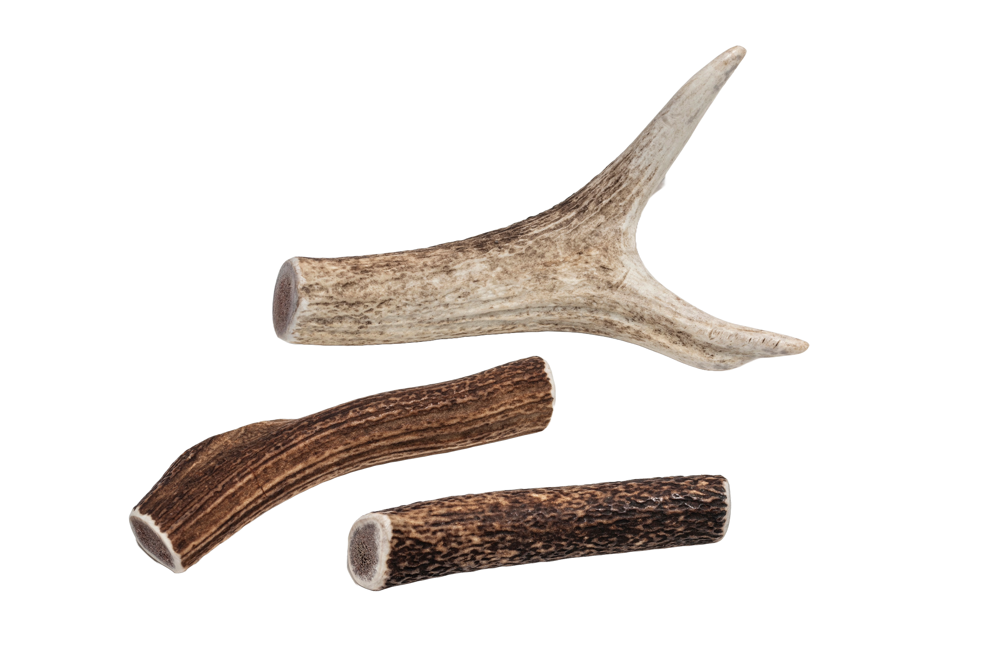 British Red Deer Antler Chew