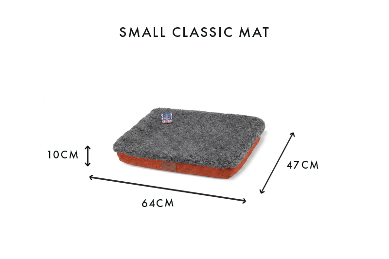 Fire Orange Dog Mat