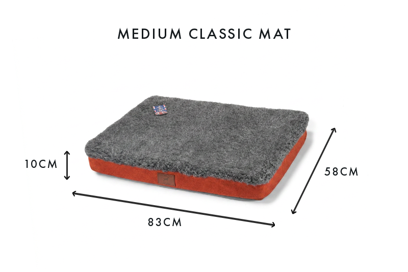 Fire Orange Dog Mat