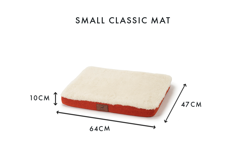 Fire Orange Dog Mat