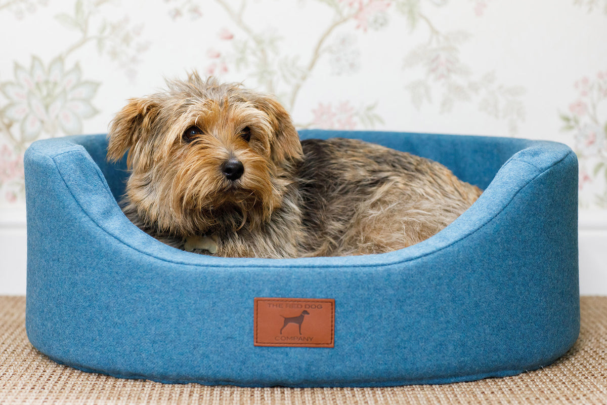 Oval Dog Beds Vet Approved Small, Medium & Large Dog Beds