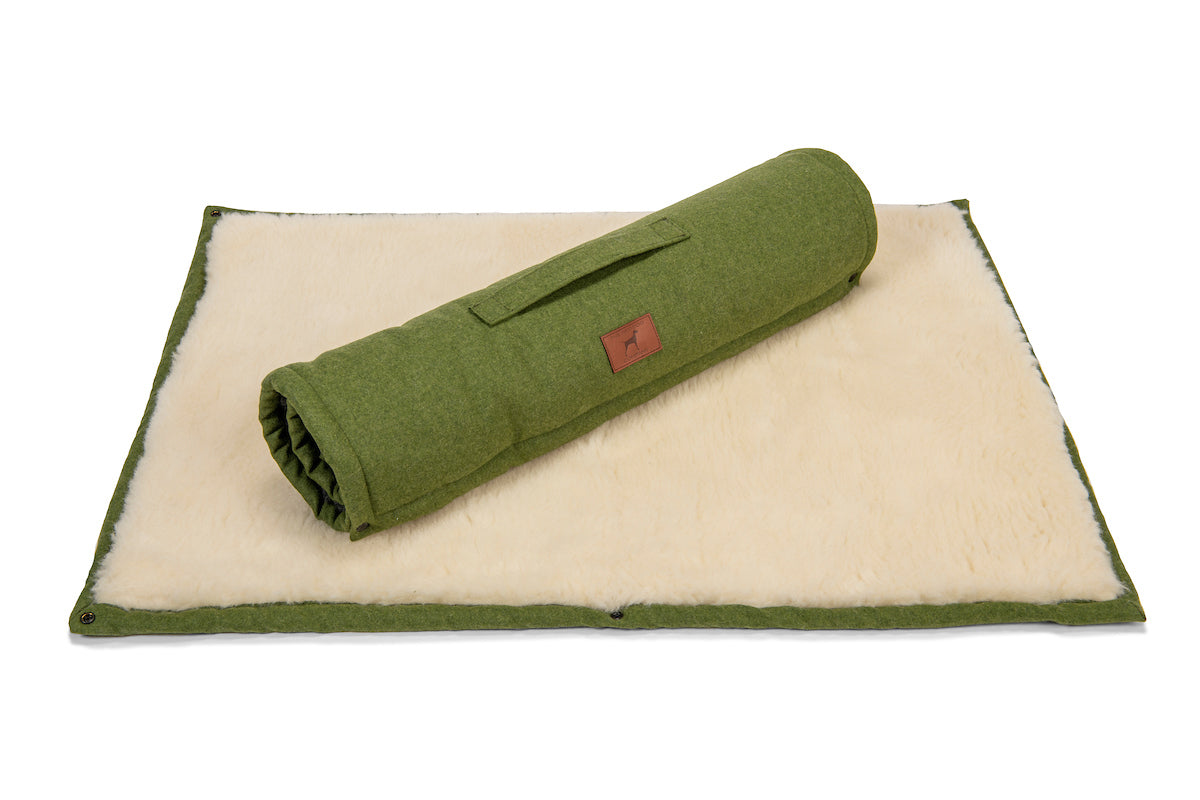 Apple Green Dog Roll Mat