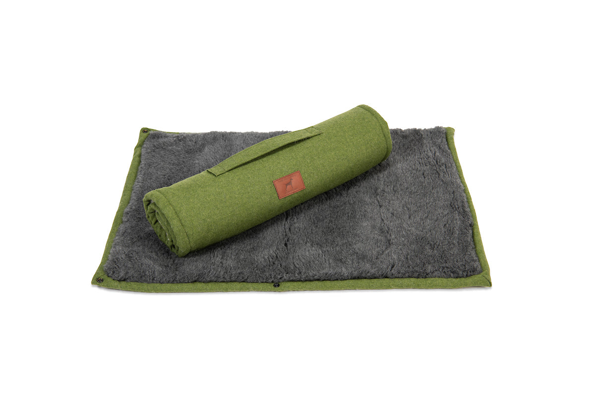 Apple Green Dog Roll Mat