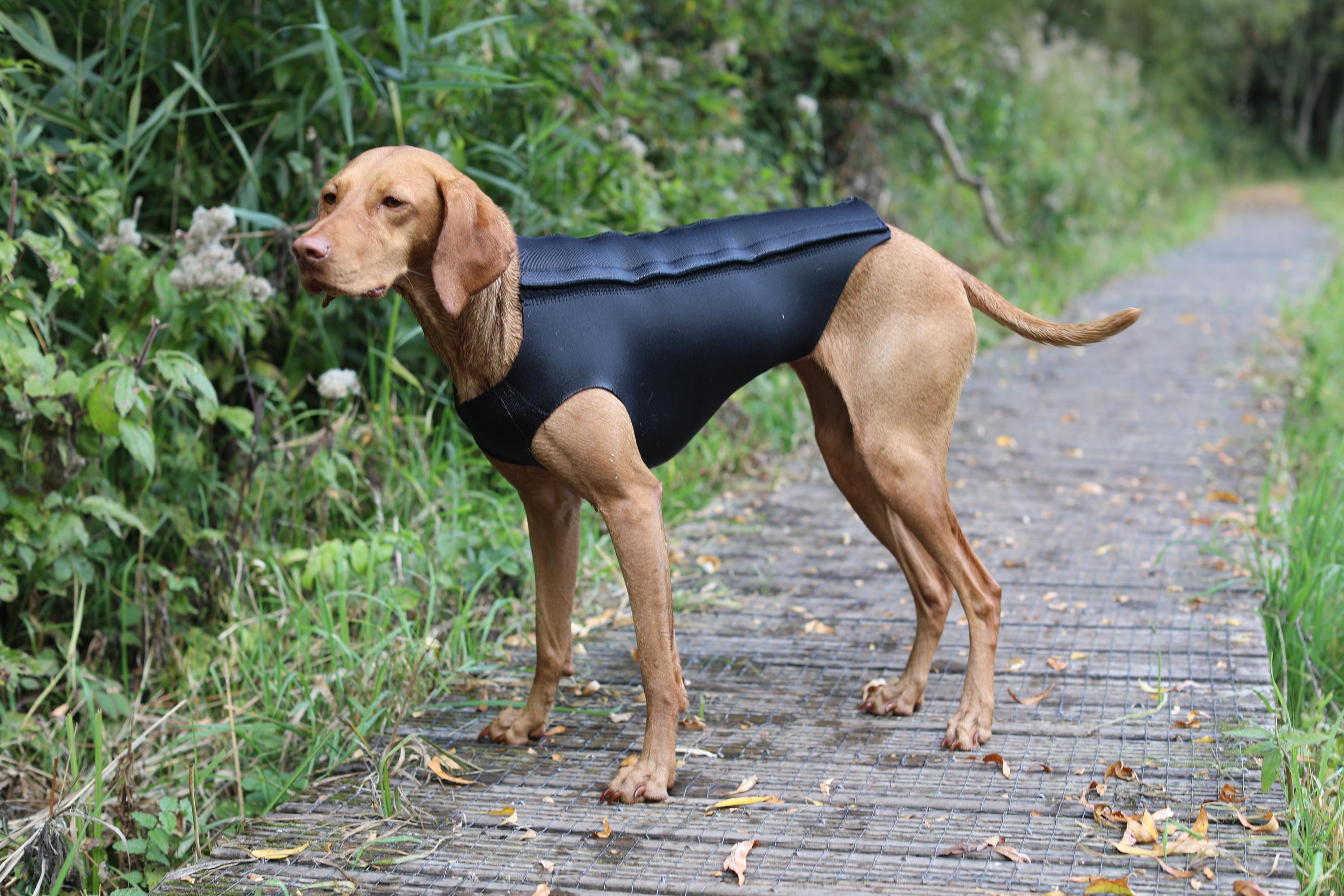 Active Dog Coat Black