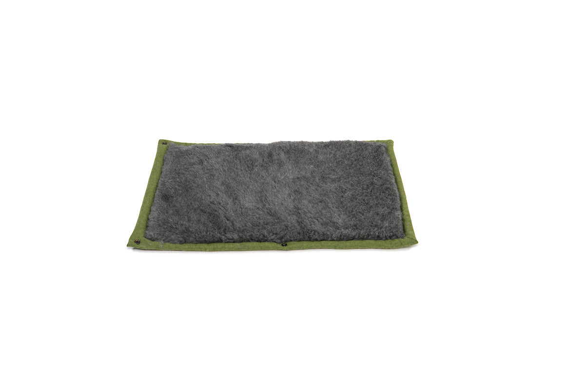 Apple Green Dog Roll Mat