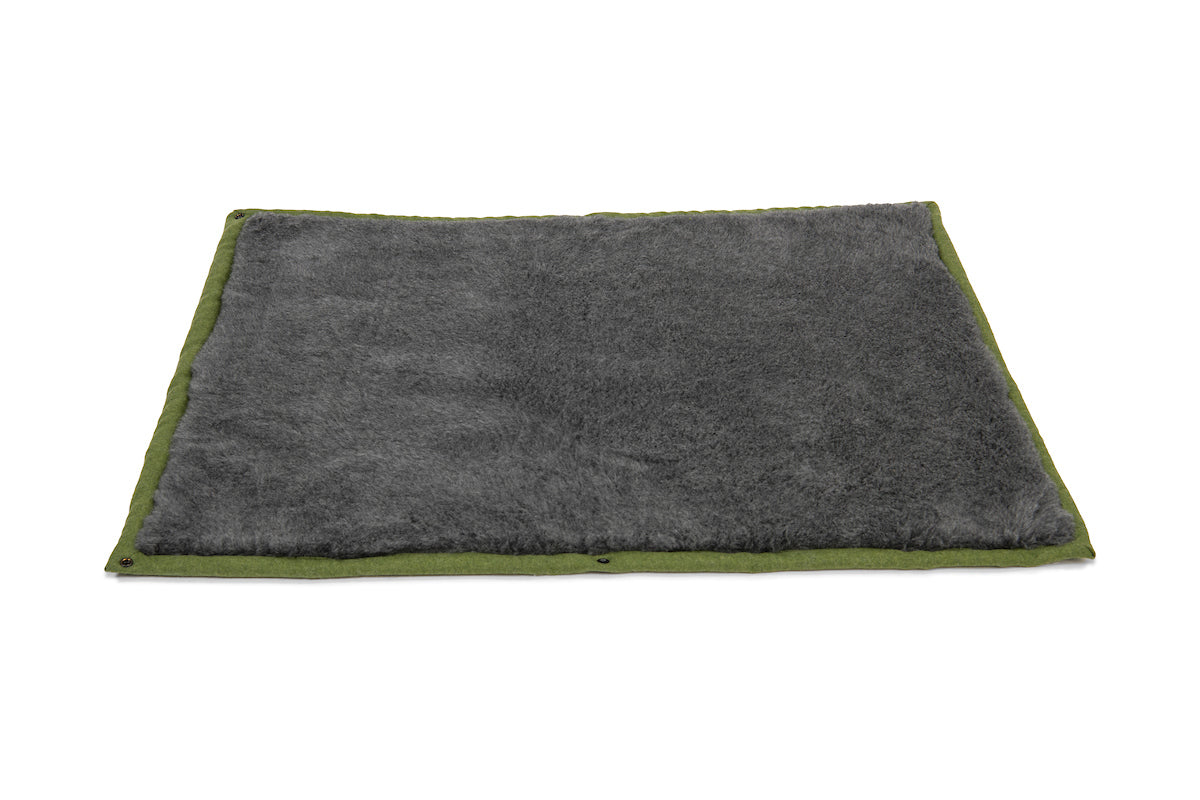 Apple Green Dog Roll Mat