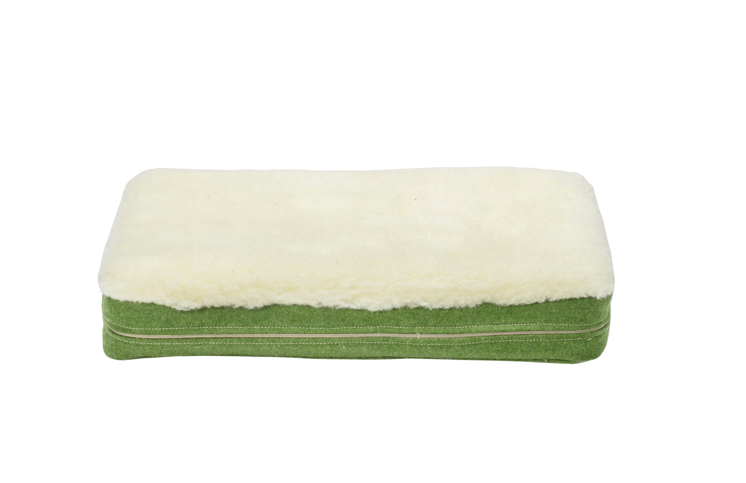 Apple Green Dog Mat