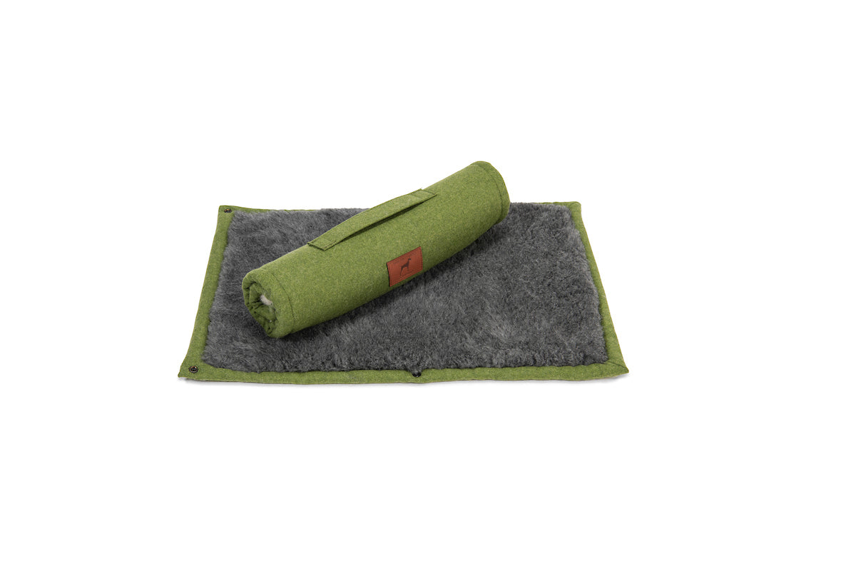 Apple Green Dog Roll Mat