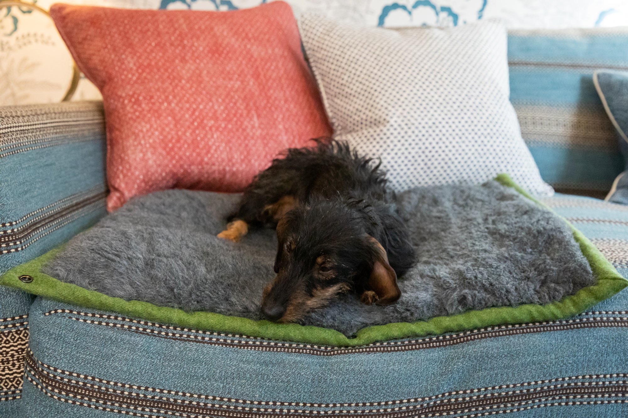 Apple Green Dog Roll Mat