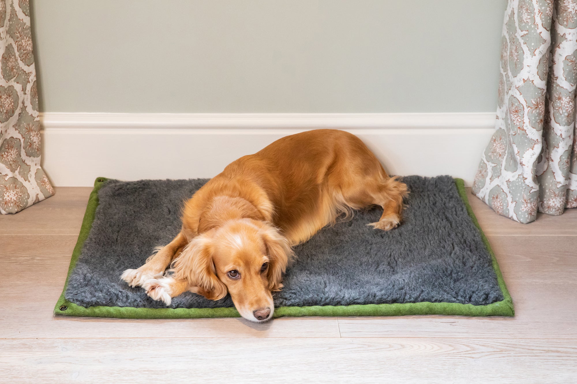 Apple Green Dog Roll Mat