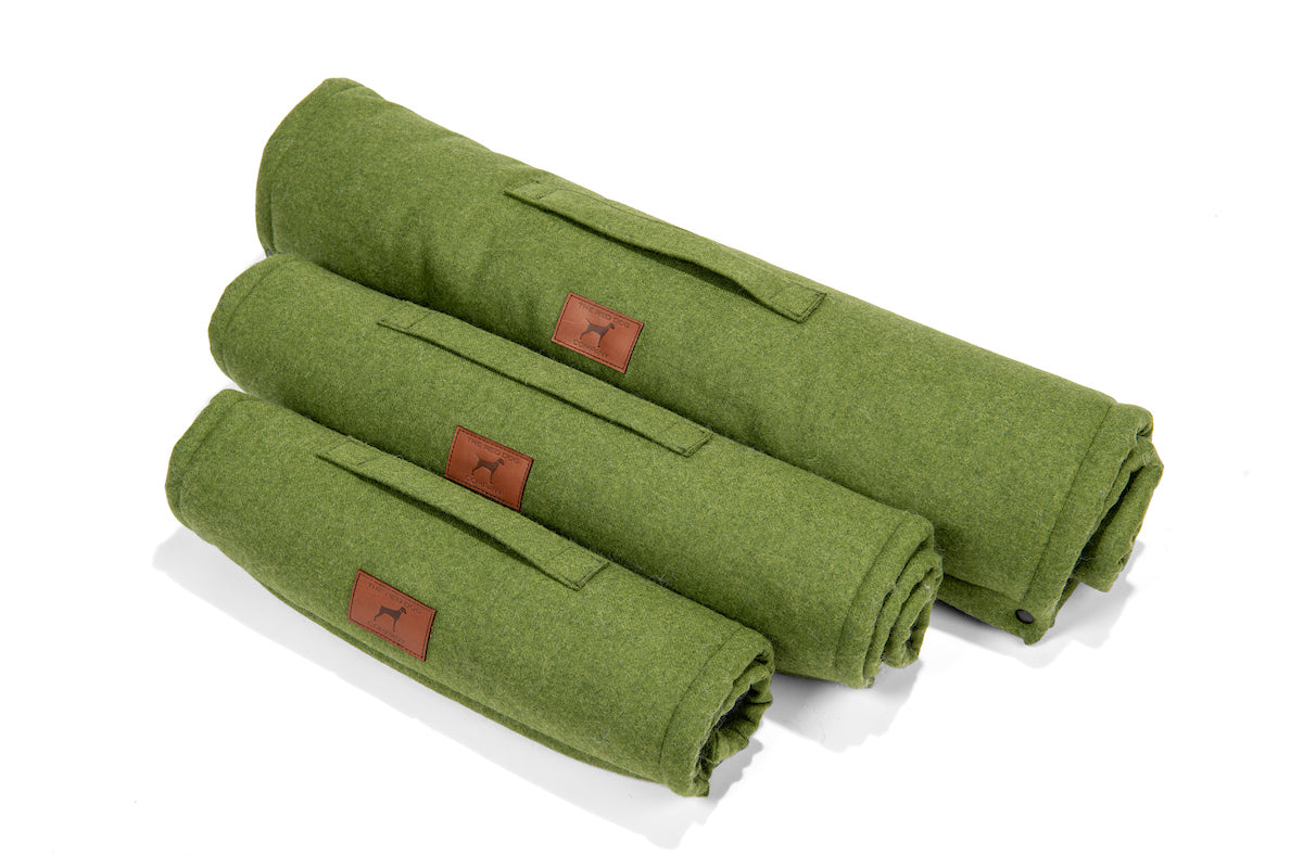 Apple Green Dog Roll Mat