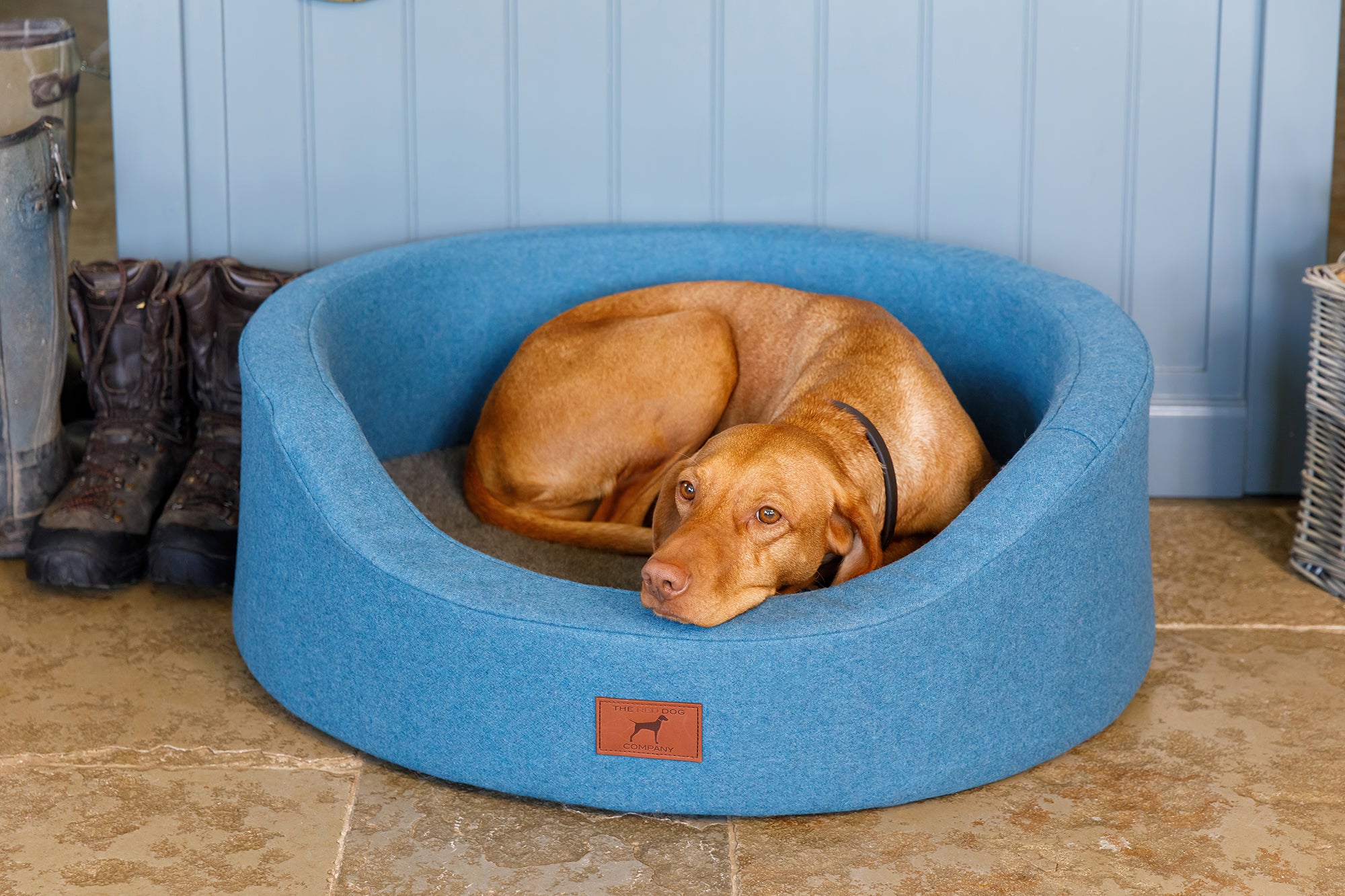 Cerulean Blue Oval Dog Bed