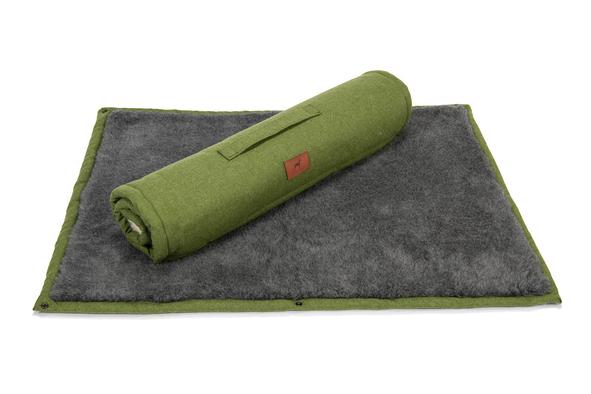 Apple Green Dog Roll Mat