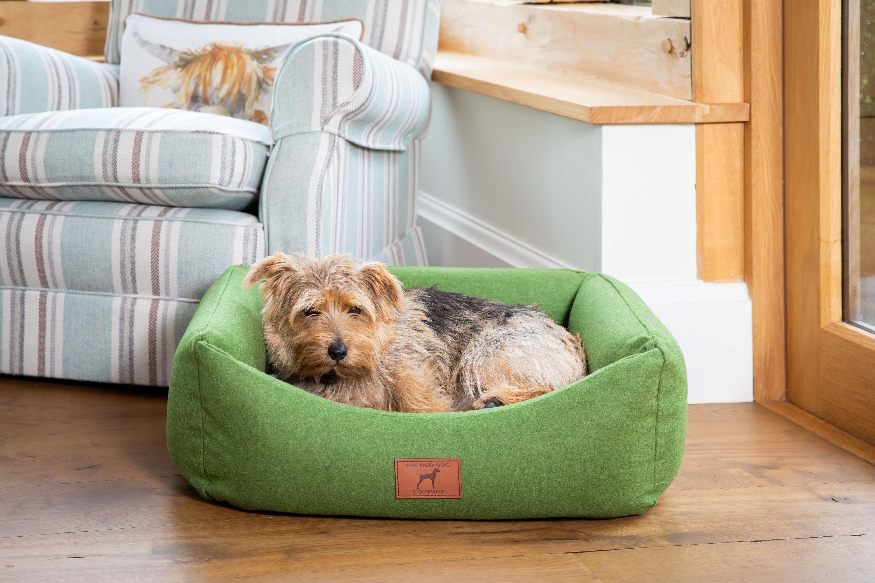 Apple Green Classic Dog Bed