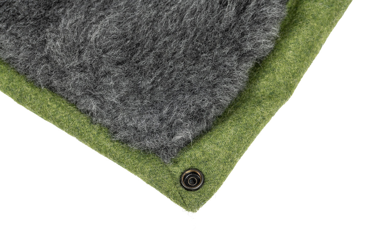 Apple Green Dog Roll Mat