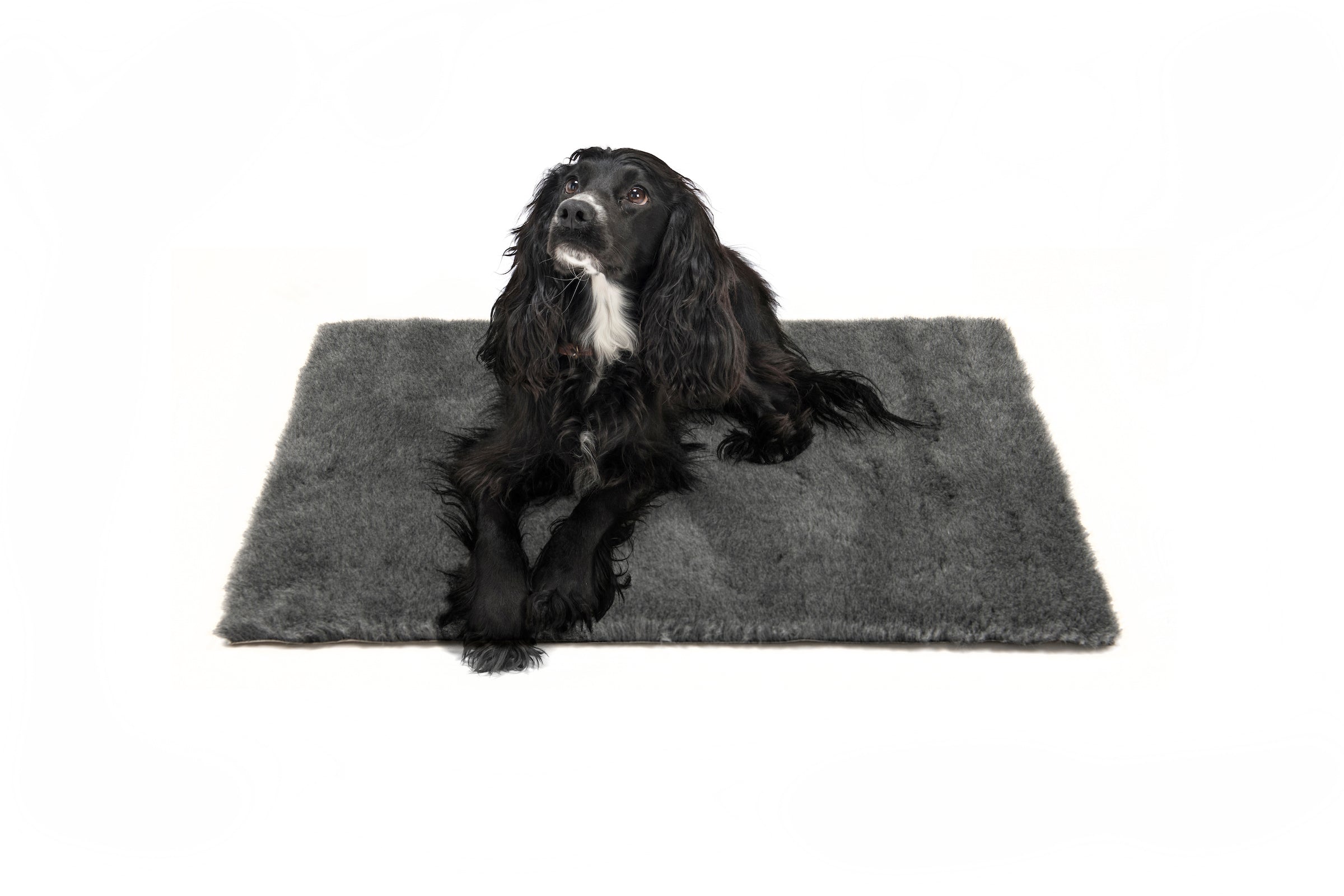 Veterinary fleece outlet bedding